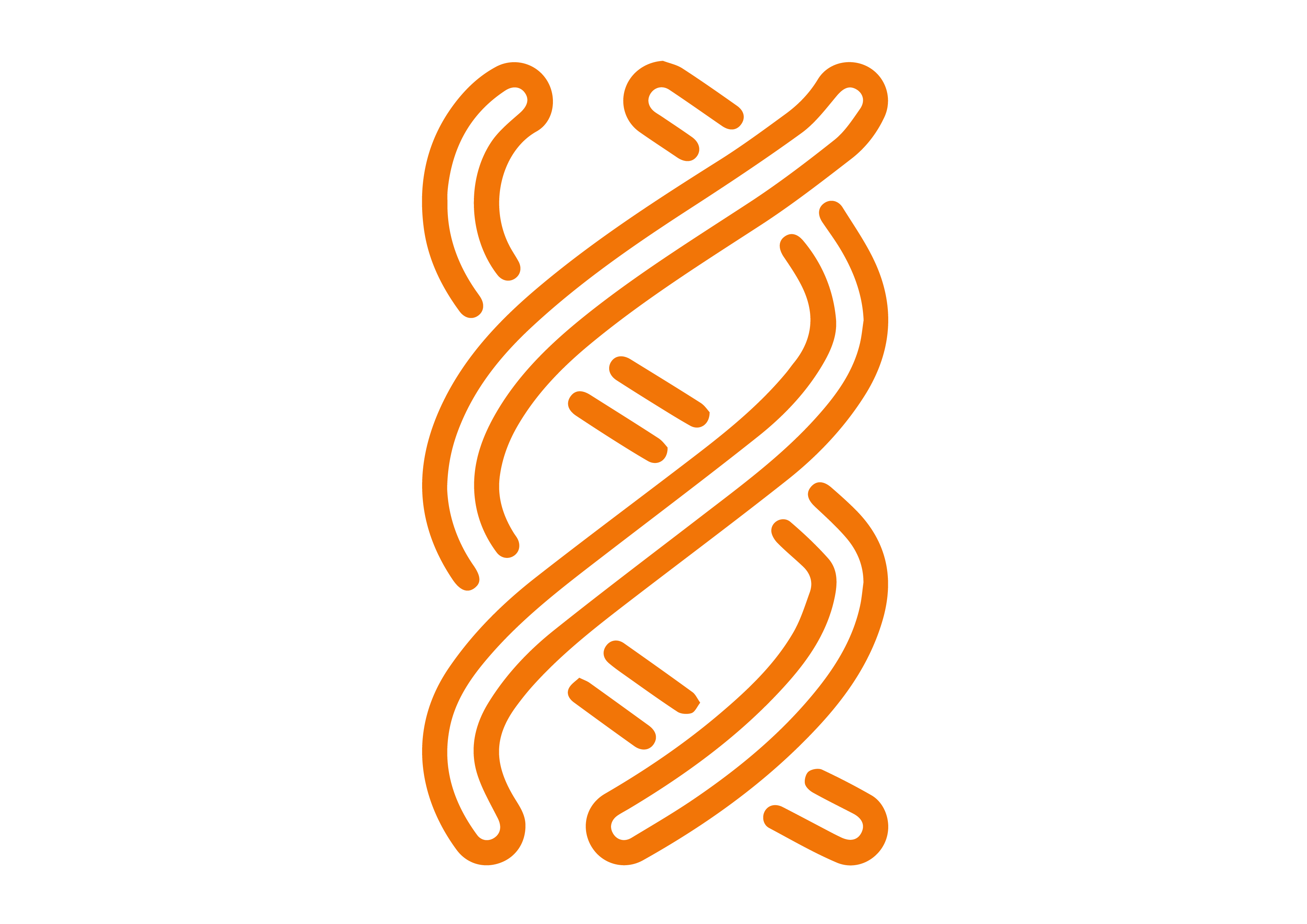 Amino Acid Hydroxyproline